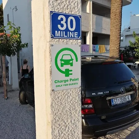 Jerkunica *